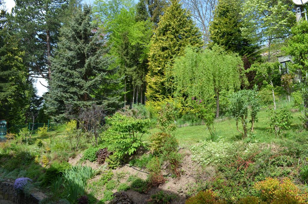 Hotel La Bonne Hotesse Chambon-sur-Lac Rom bilde